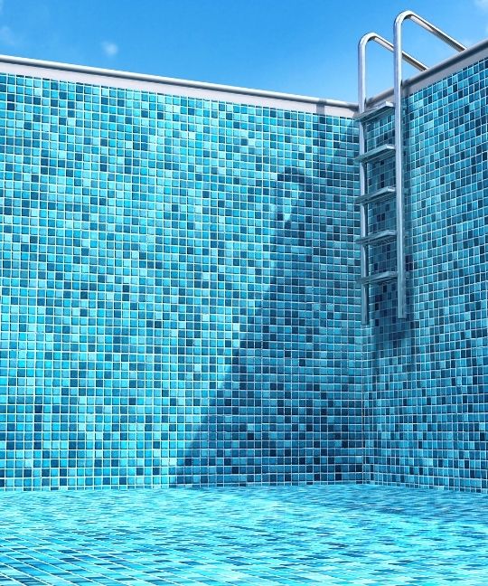ShowTime Aquatics Pool Spa